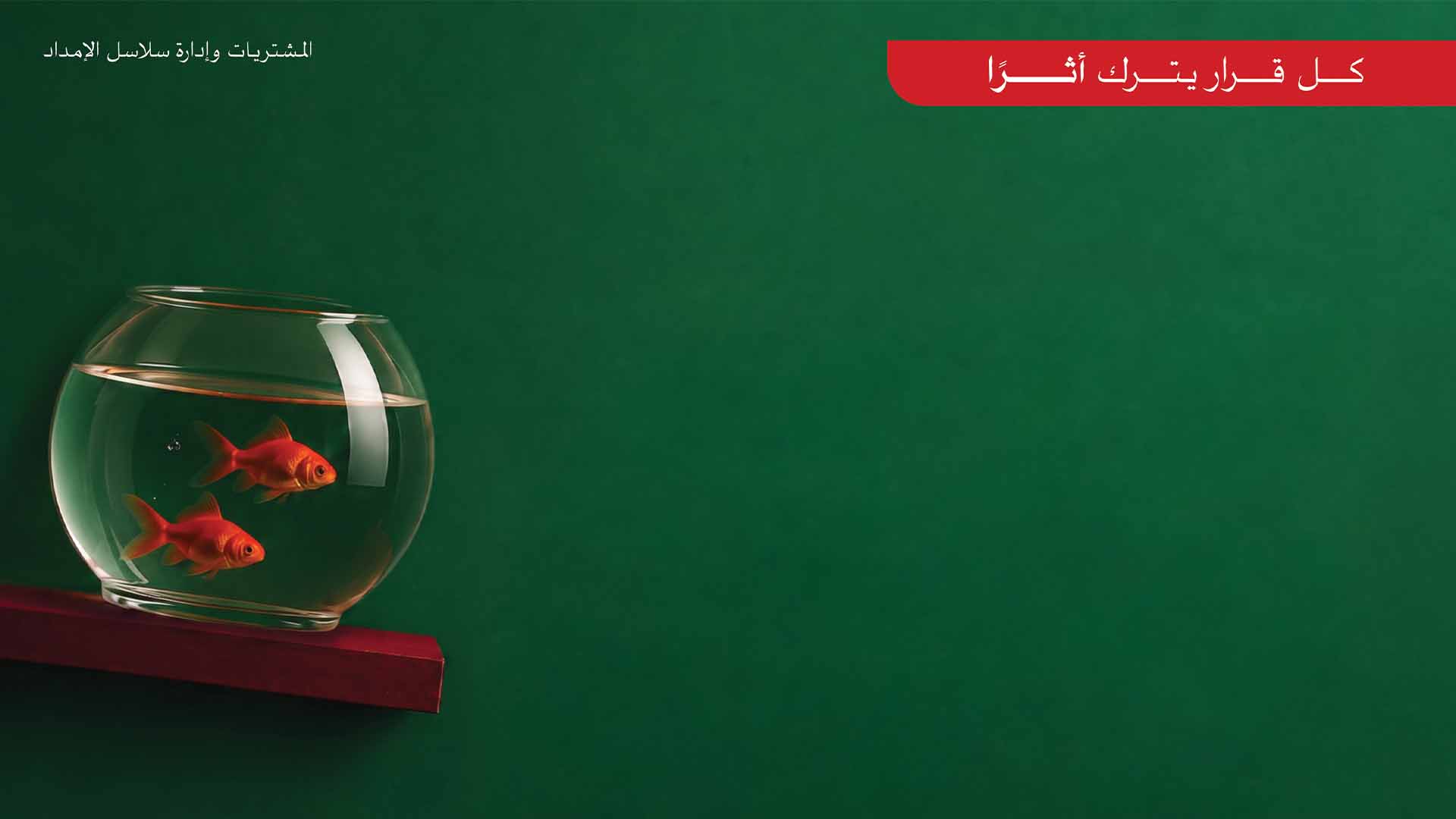 بعض القرارات تضعك أمام منزلقٍ خطير