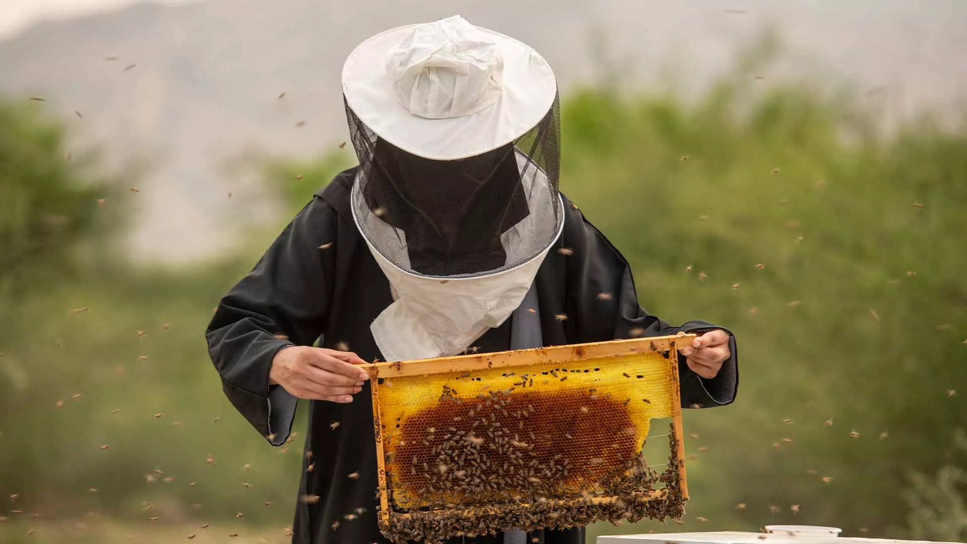  أرامكو السعودية تحفظ ذاكرة الأرض وتراثها وحكاياتها