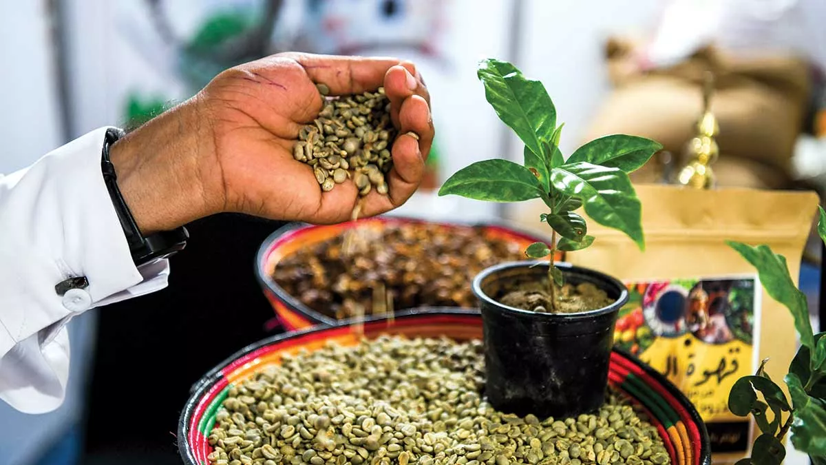 Aramco citizenship efforts help build up Jazan farmers a cup of coffee for the Kingdom