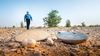 Inspirational replanting of desert biodiversity in Haradh