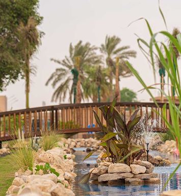 Week in Review: Of business, community, and excellence