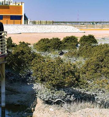 Not just a beautiful place: Mangrove Eco-Park