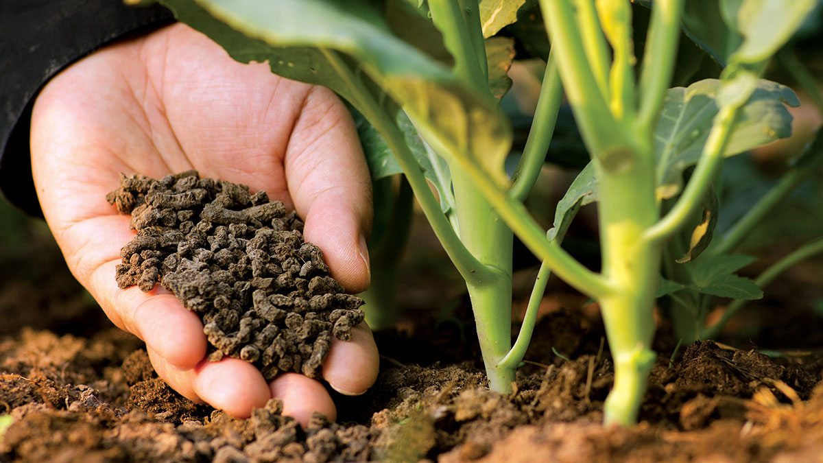 From waste to organic fertilizer