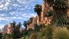 Reader’s Album: Majestic wadi