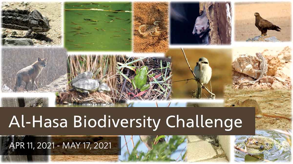Mubarraz ITC Biodiversity Challenge
