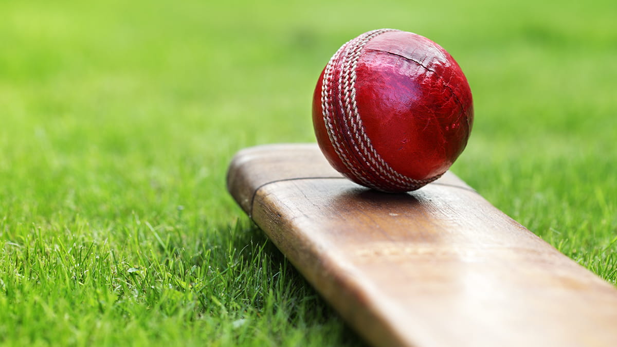 Dhahran Cricket Association Announces New Activities