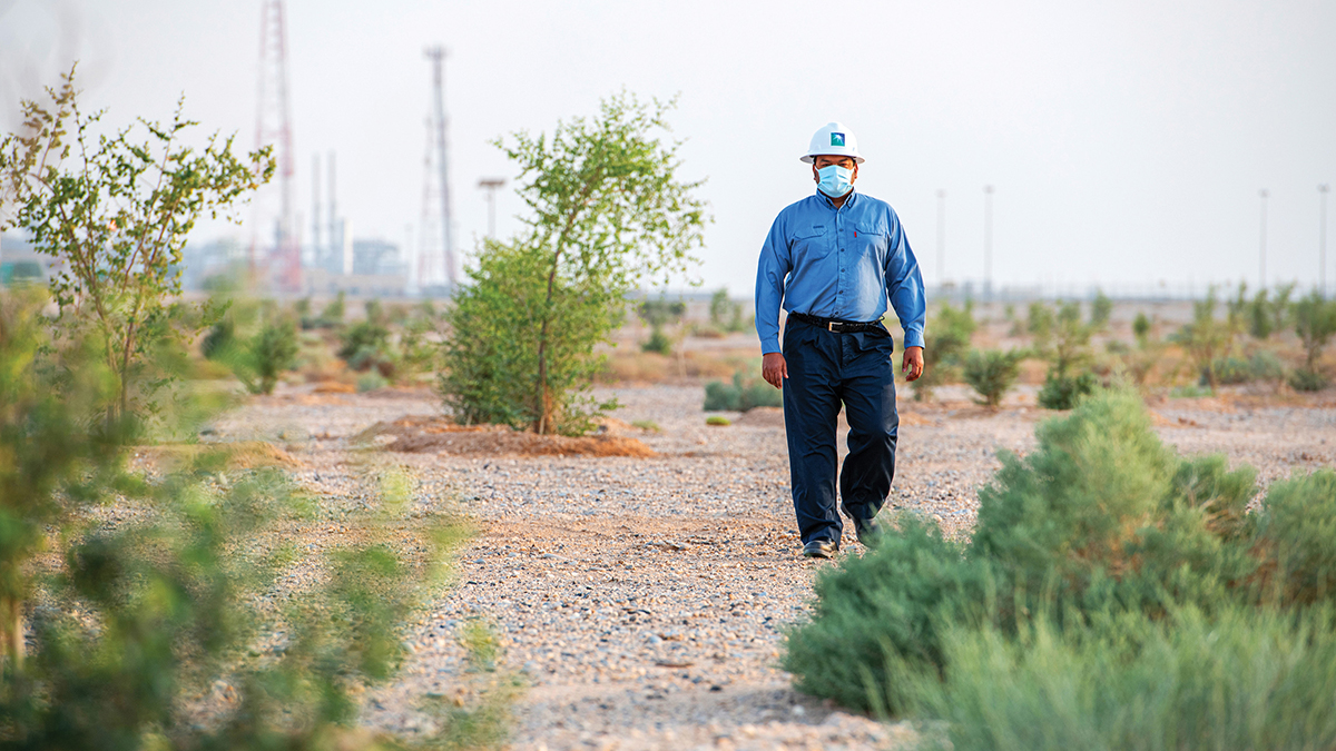 green-initiatives-Haradh