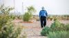 Toward a Sustainable Future