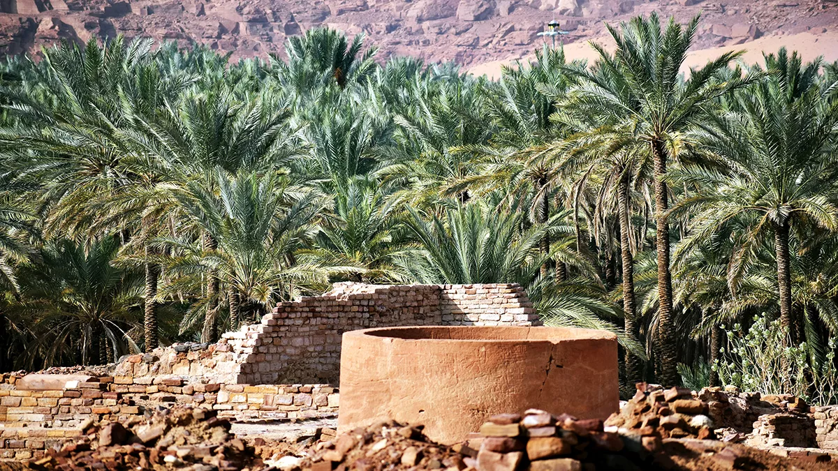 Discover-Al-Ula-5