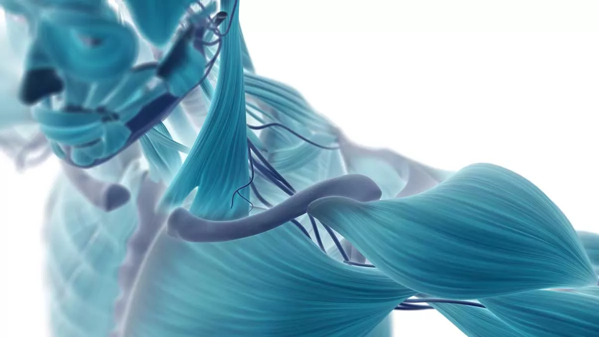 jhah-muscle-pain-outreach-lecture