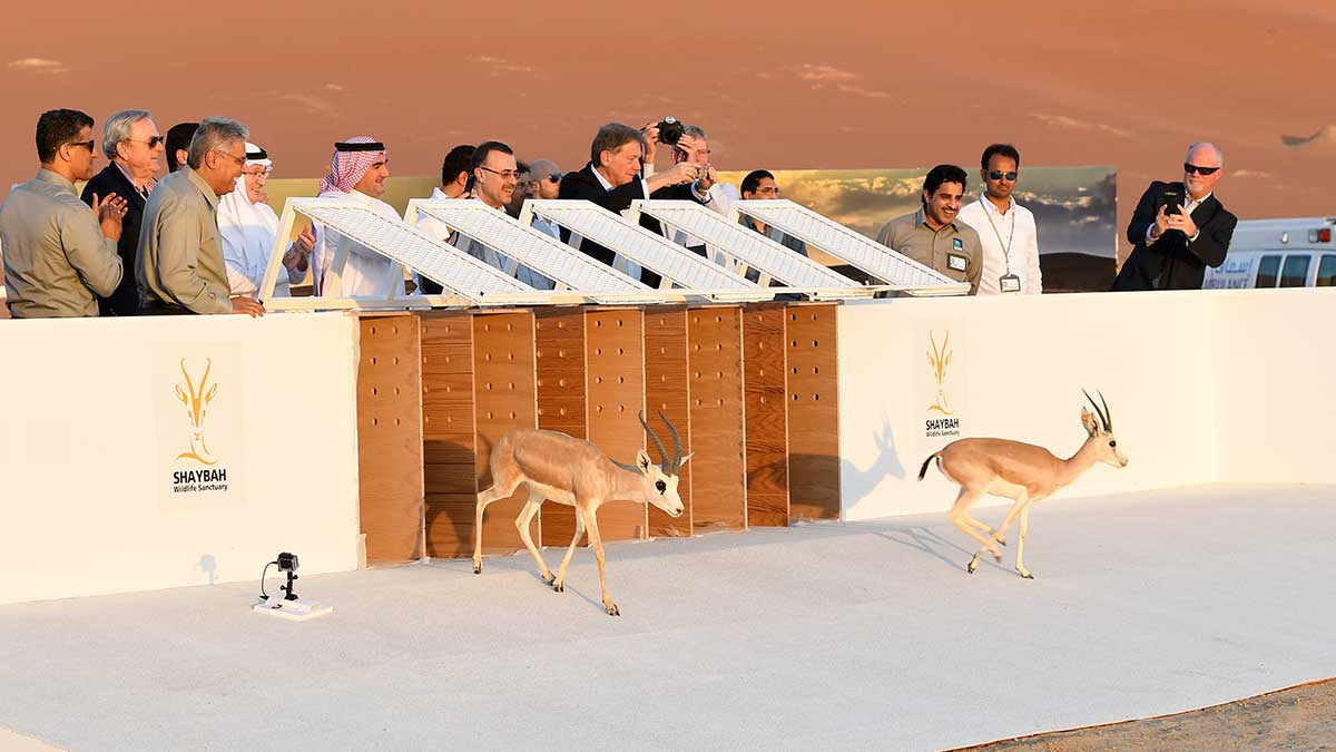 Aramco's Board of Directors inaugurate Shaybah Sanctuary