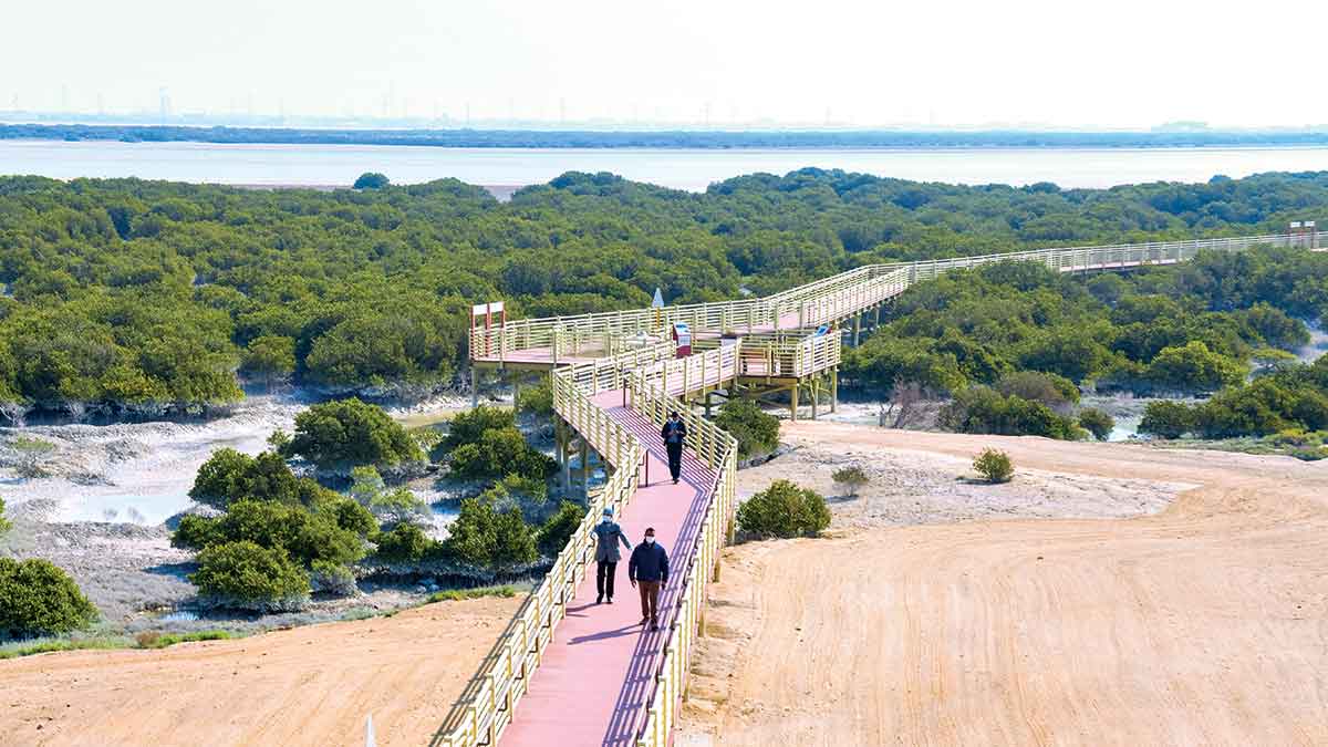 Ras-Tanura-Mangrove-Eco-Park-inaugurated-in-Ras-Tanura