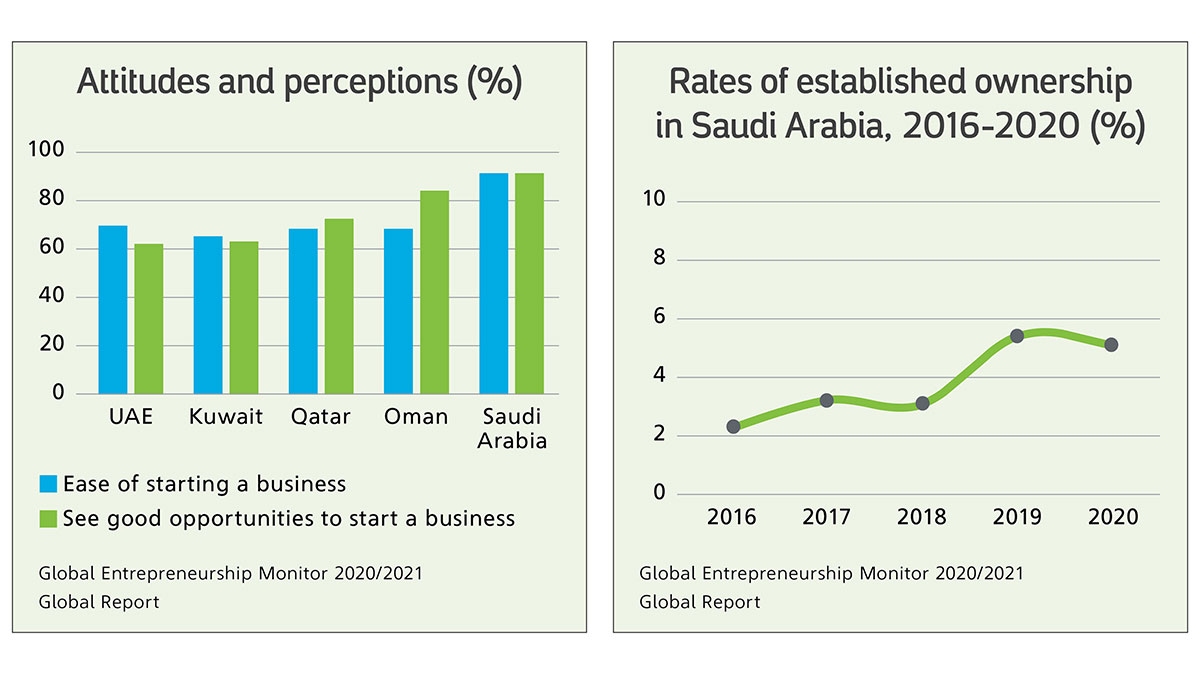 saudi entrepreneurship and attitudes chart