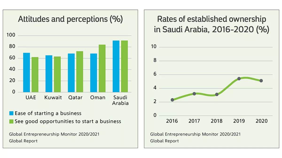 saudi entrepreneurship and attitudes chart