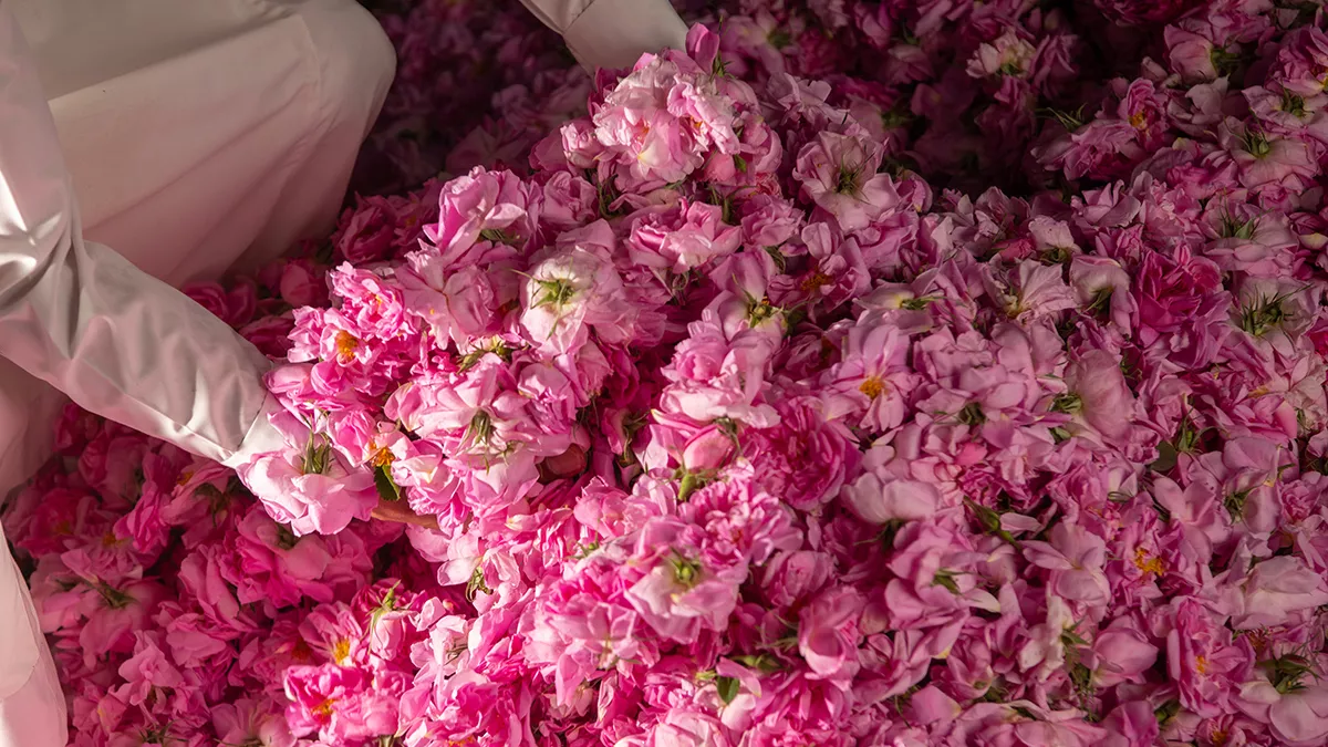 Women leading and working in the flower industry
