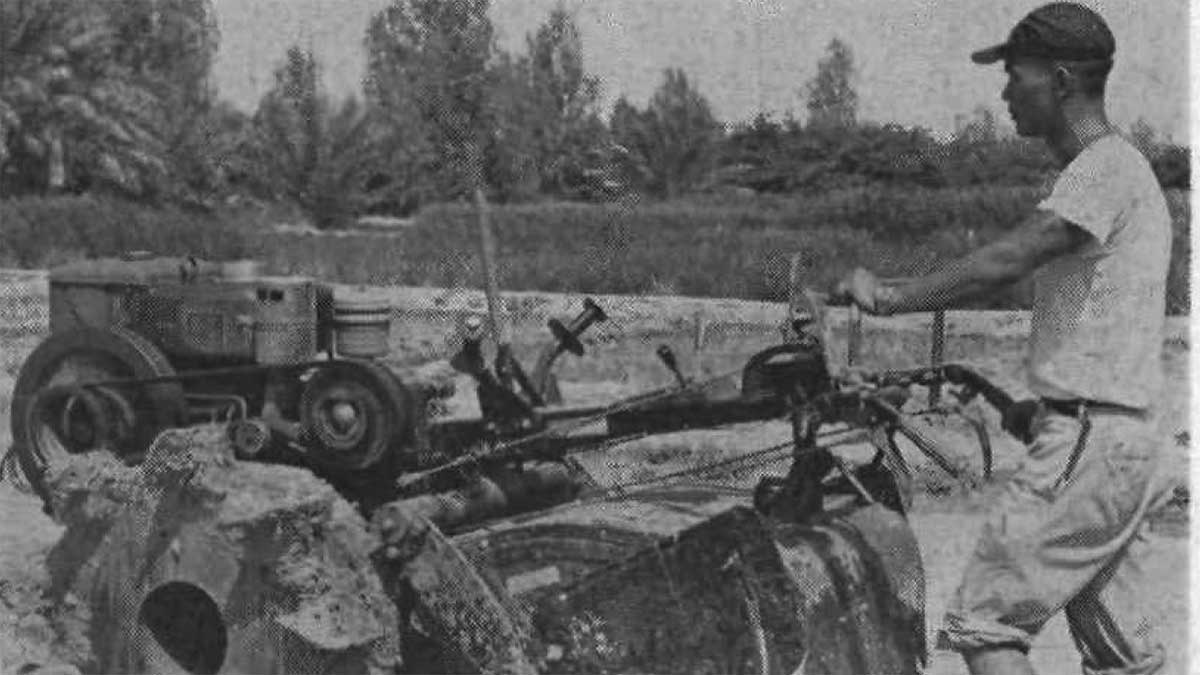 June 1967 Rice growing experiments