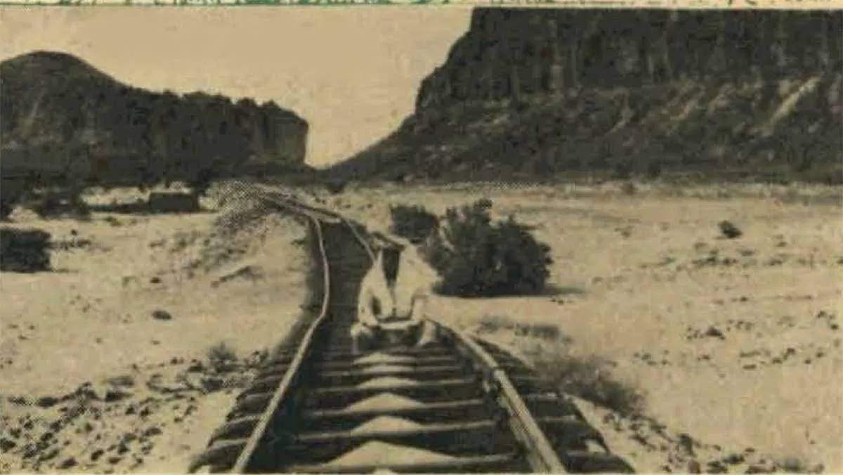 1962 July 4 exploring the Kingdom's North and Nabatean societies