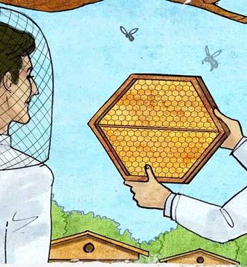 VIDEO: The Beekeeper who sweetened his destiny