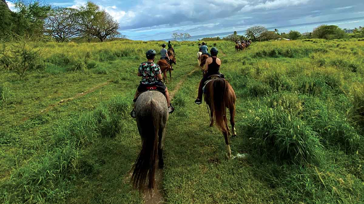 Hawaii travel Koalua Area