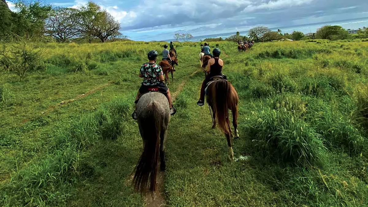 Hawaii travel Koalua Area
