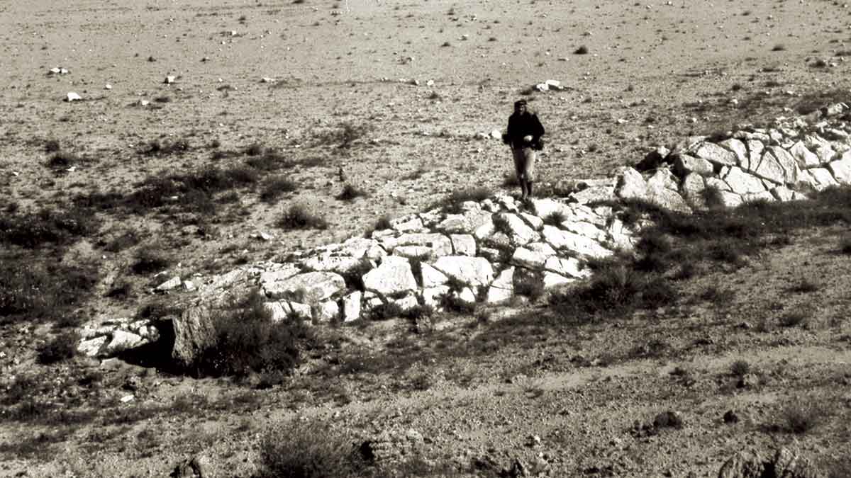Steineke exploration drive