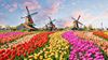 Amsterdam in Summer: Windmills, wooden shoes, and flowers