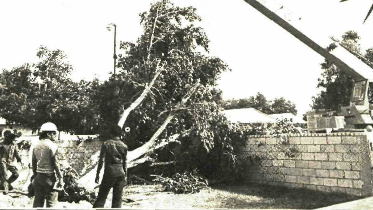 October and November 1982 post-storm reclamation on Aramco community