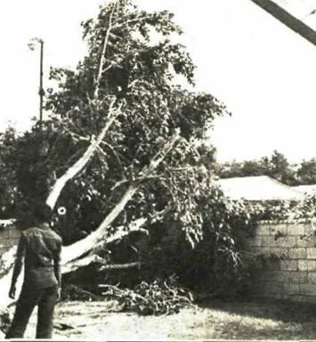 Memory Lane: Golf courses to mini marts, and a whole lot of bad weather