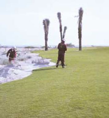 This Day in History (2002): Golf course going green