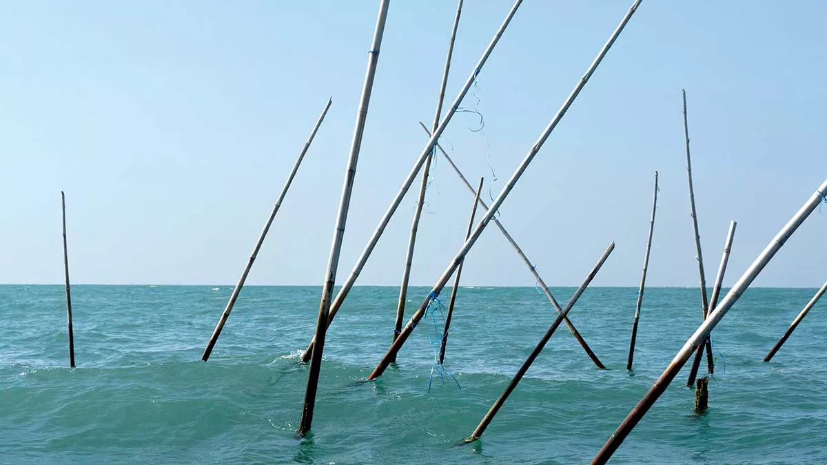 Indonesia travel bamboo poles