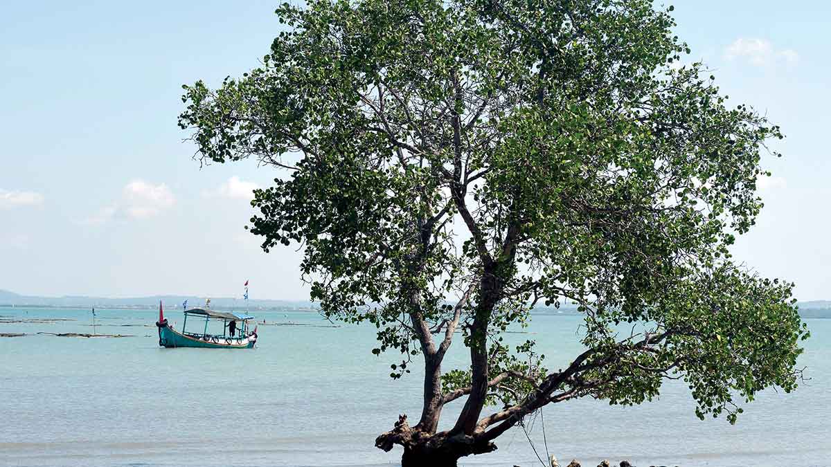 Indonesia Travel Ponjuk Padike Beach on Puteran Island