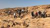 Aramco Americas facilitates geology field seminar