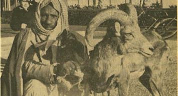 This Day in History (1969): What's a Wa’l?