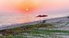 Share Your Photo: Sunrise stroll in Ras Tanura