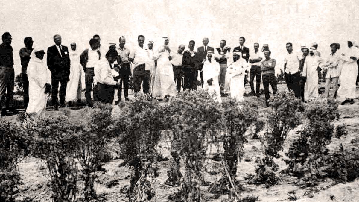 This Day in History (1967): Review agricultural progress at Qatif