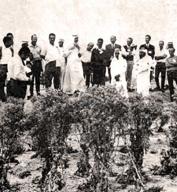 This Day in History (1967): Review agricultural progress at Qatif