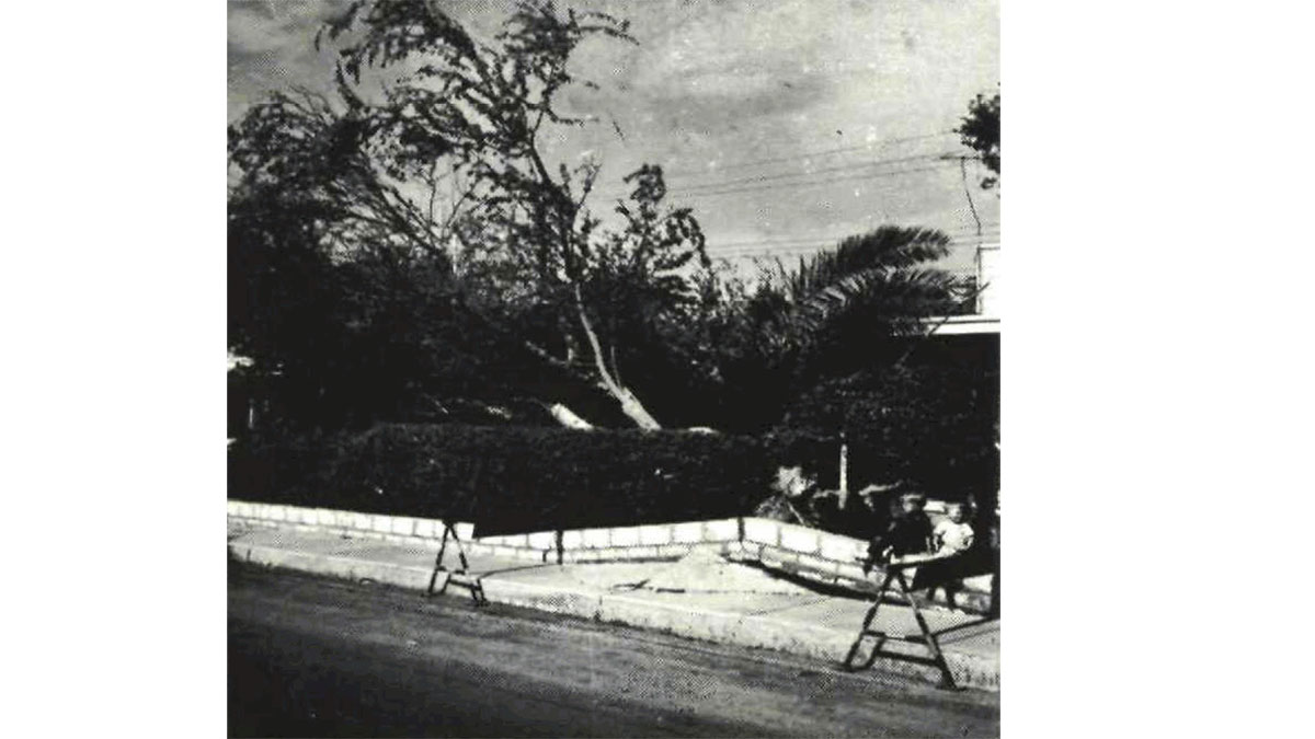 This Day in History (1957): Gusty winds damage trees, roofs, towers at Dhahran