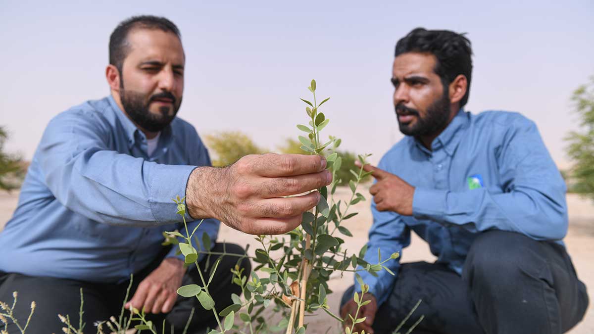 Aramco engineers planting 2023 Sustainability Report
