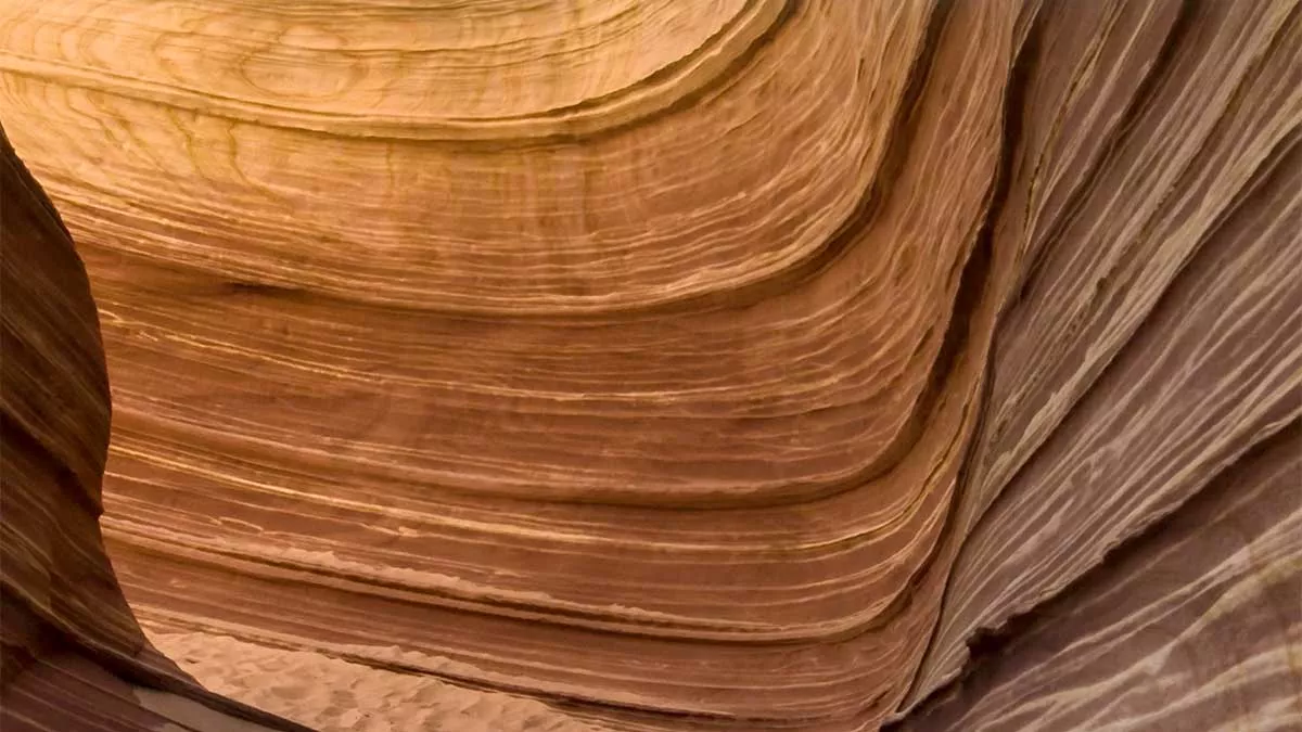 فيديو: ماهي النتوءات الصخرية؟