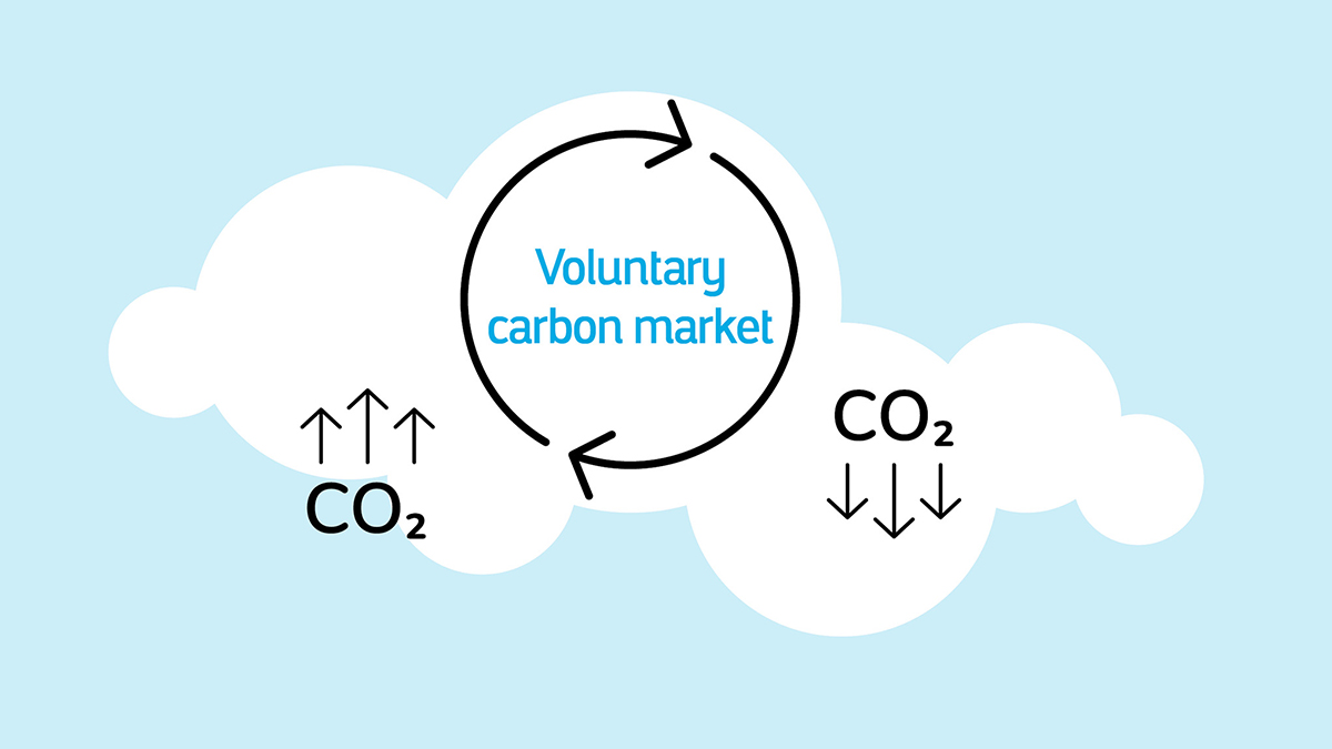 Voluntary Carbon market graphic
