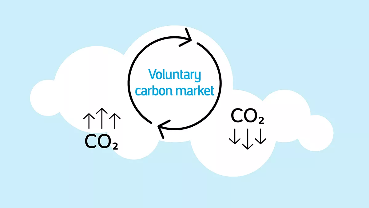 Voluntary Carbon market graphic
