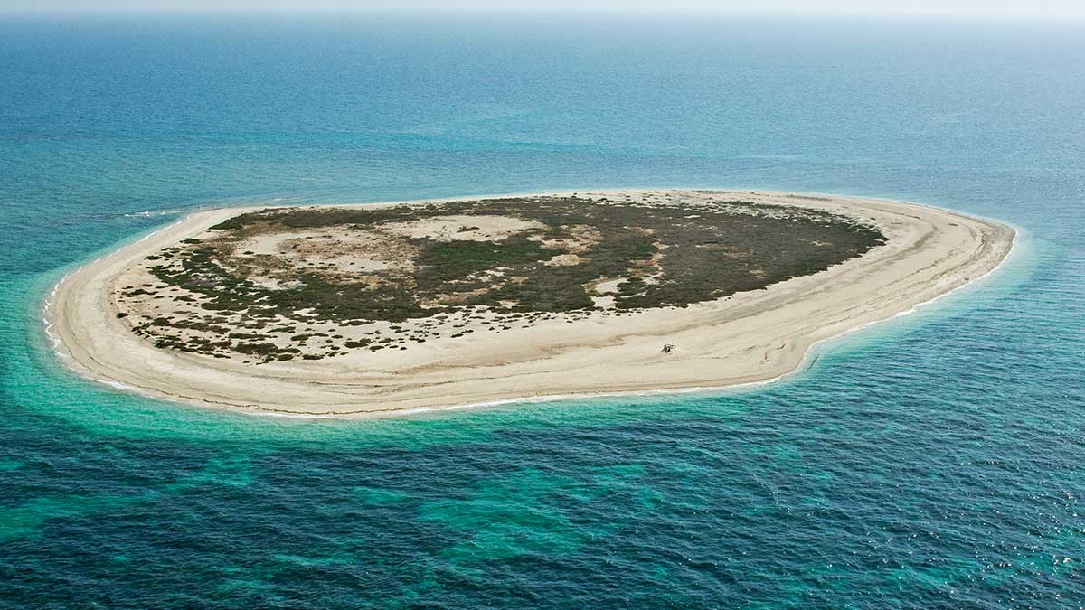 Arabian Gulf Islands - Kurayn Island