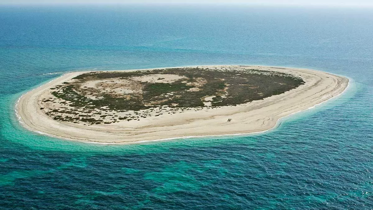 Arabian Gulf Islands - Kurayn Island