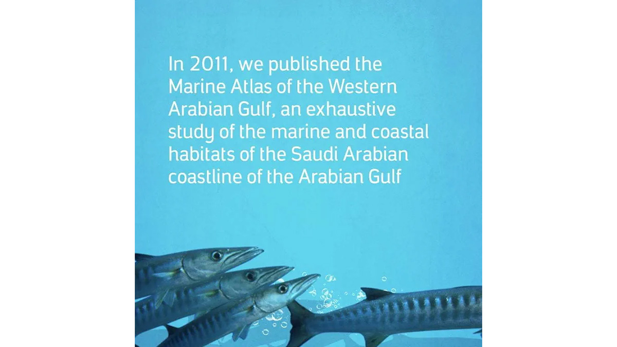 Aramco Ocean Deep Data Dive third fish in slider