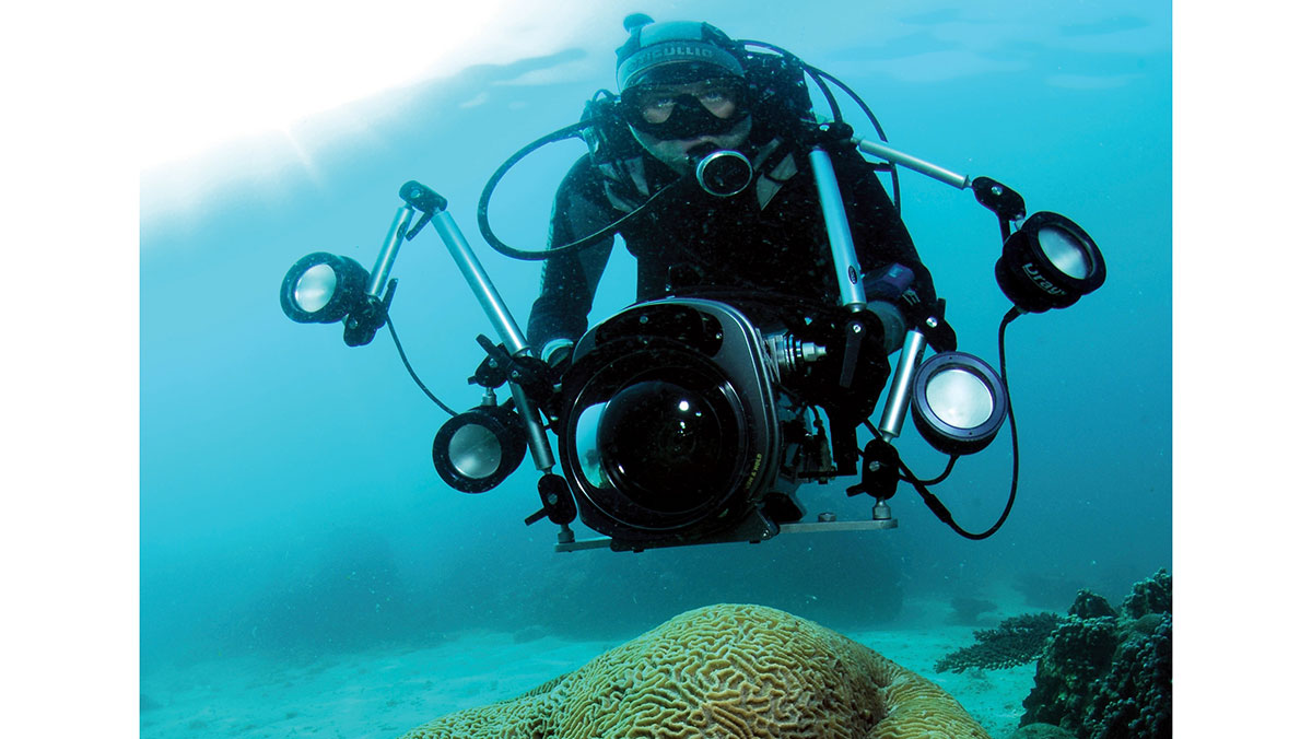 Aramco Ocean Deep Data Dive coral on camera