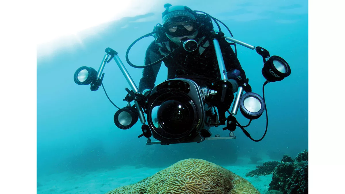 Aramco Ocean Deep Data Dive coral on camera