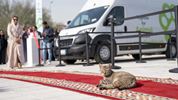OLFA promotes animal welfare in communities with positive action