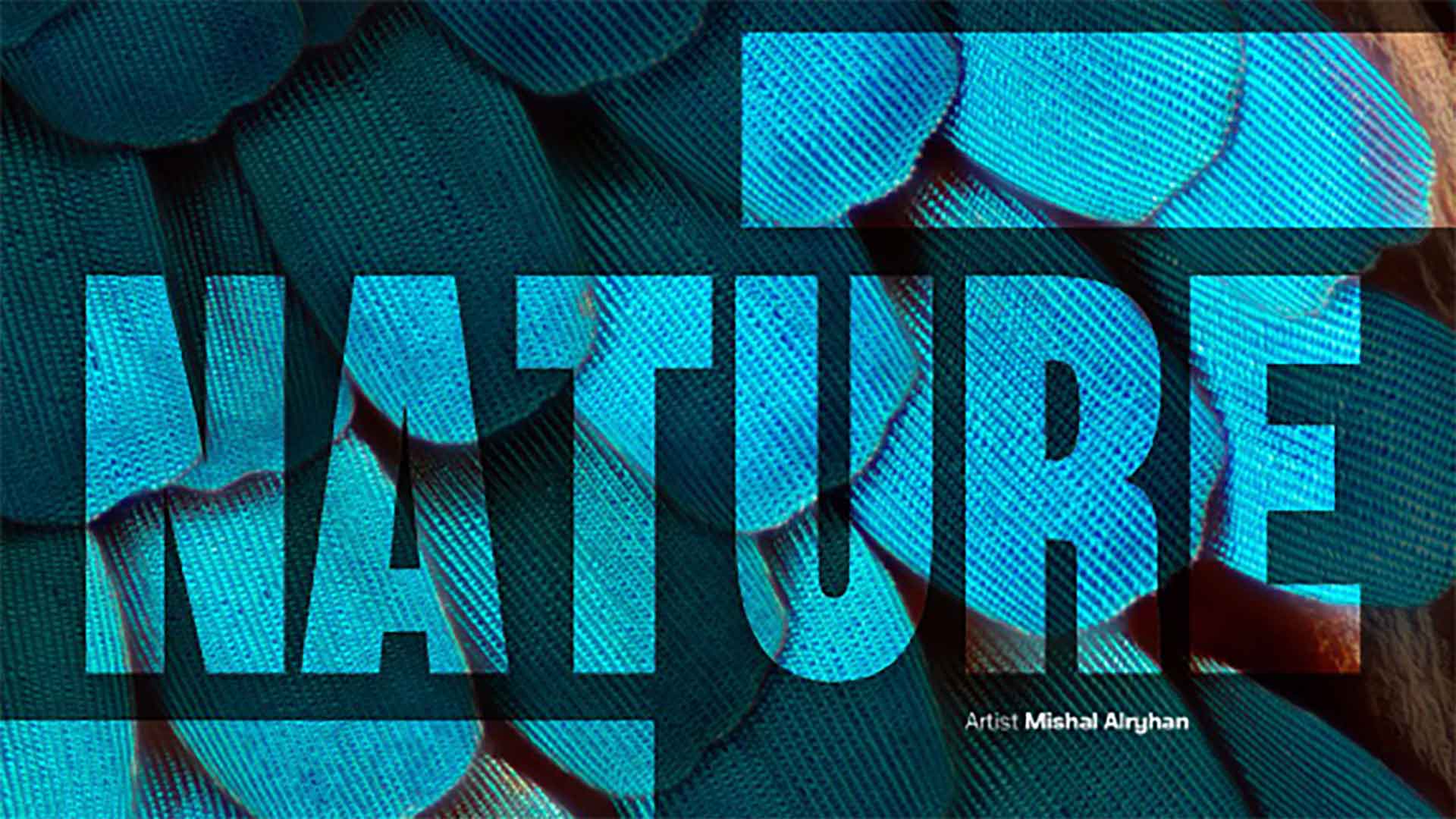 Ithraeyat number 24 cover Nature