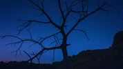 Aramco Biodiversity Protection Area featured in documentary ‘Wild Abha’