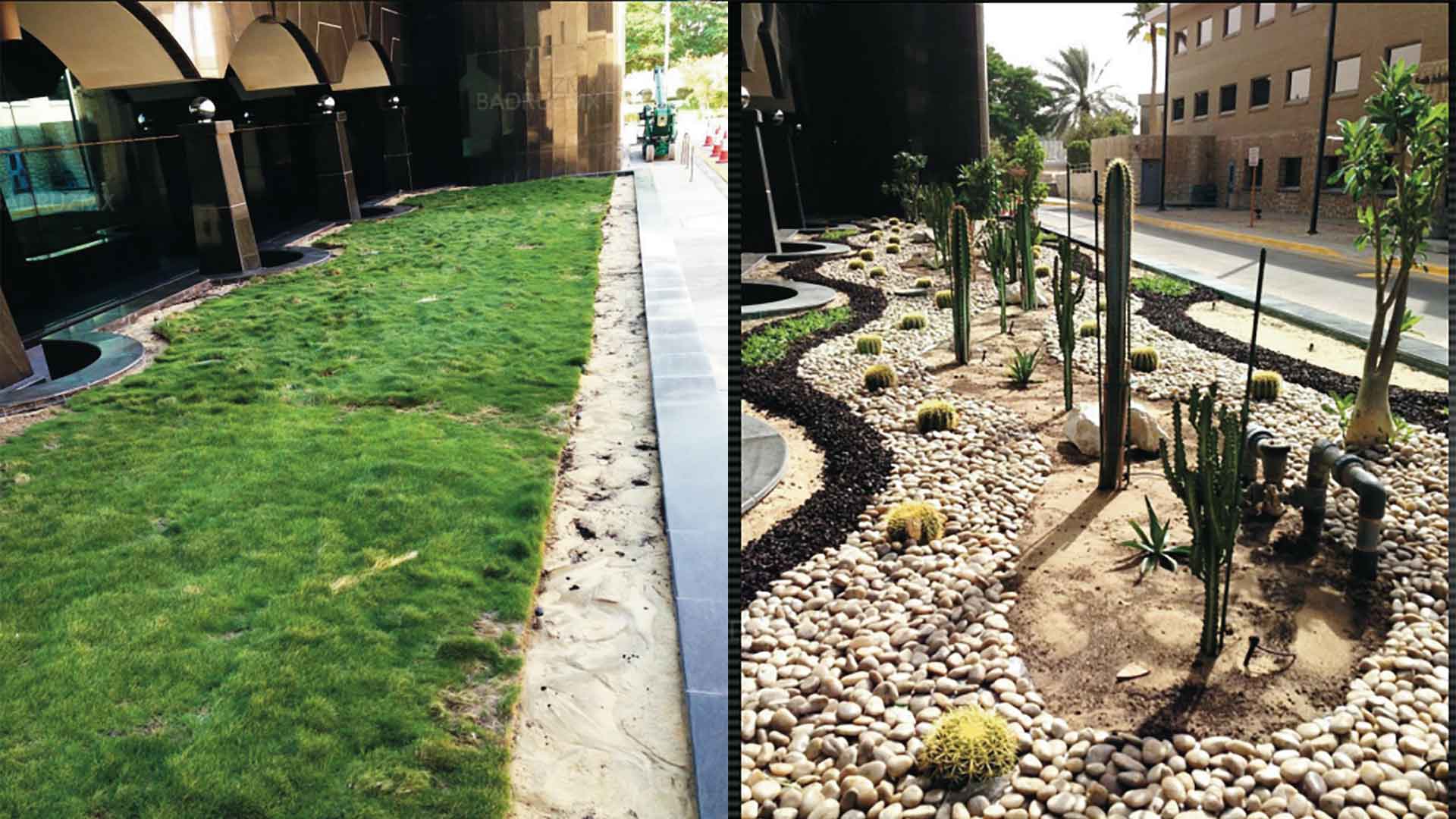 Green Matters water conservation before with watering after with xeriscaping
